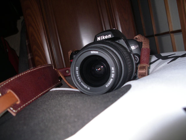 Nikon D60 ダブルズームキット
